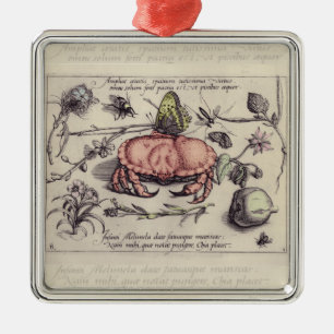 Krabben-Botanik-Insekten-Blumen-Illustration Silbernes Ornament