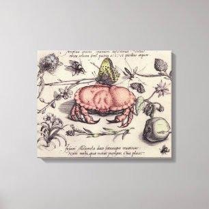 Krabben-Botanische-Insekten-Blumen-Illustration Leinwanddruck