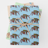 Krabben Geschenkpapier Set (Beispiel)