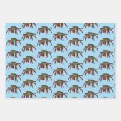 Krabben Geschenkpapier Set (Vorderseite)