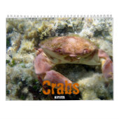 Krabben (Kalender 2010) Kalender (Rückseite)