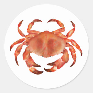 Krabben Meer Küste Nautilus Runder Aufkleber
