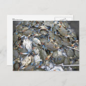 Krabben Postkarte (Vorne/Hinten)