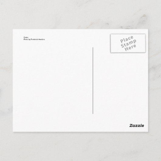 Krabben Postkarte (Rückseite)
