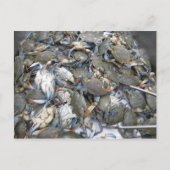 Krabben Postkarte (Vorderseite)