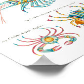 Krabben und Garnelen auf beliebigem Hintergrund Poster (Ecke)