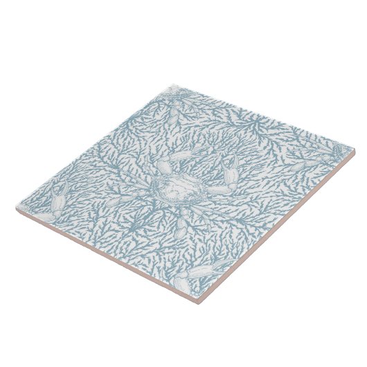 Krabben und Meeresalgen, Sommer an der Küste in we Fliese (Seite)