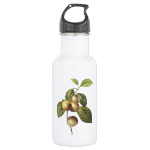Krabbenapfel (Malus sp.) von Redouté Trinkflasche