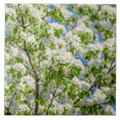 Krabbenapfelblüte Fliese (Vorderseite)