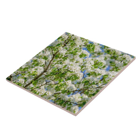 Krabbenapfelblüte Fliese (Seite)