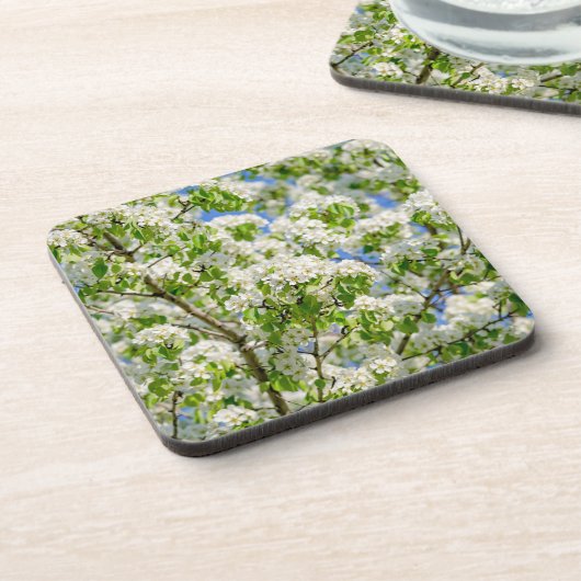 Krabbenapfelblüte Getränkeuntersetzer (Linke Seite)