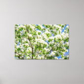 Krabbenapfelblüte Leinwanddruck (Vorderseite)