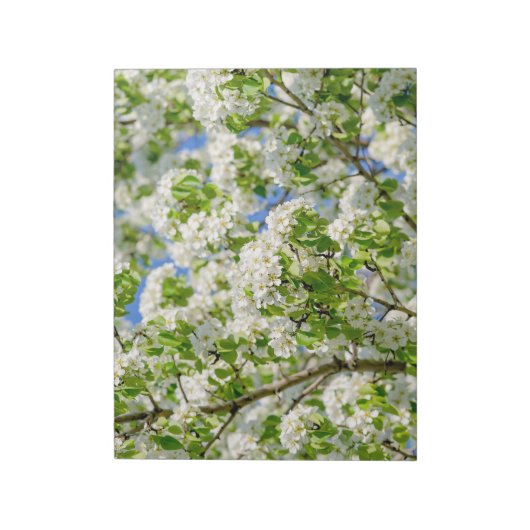 Krabbenapfelblüte Notizblock (Rotiert)