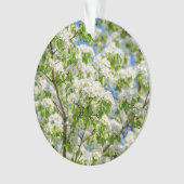 Krabbenapfelblüte Ornament (Vorderseite)