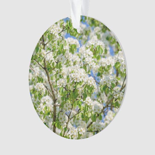 Krabbenapfelblüte Ornament (Vorderseite)