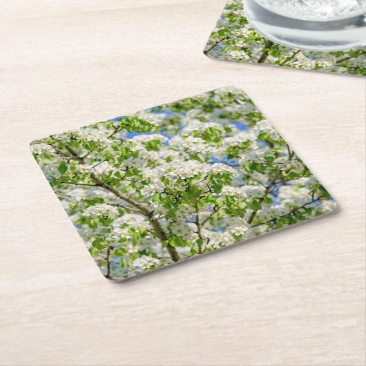 Krabbenapfelblüte Rechteckiger Pappuntersetzer (angewinkelt)