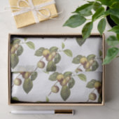 Krabbenapfmuster Seidenpapier (Geschenk)