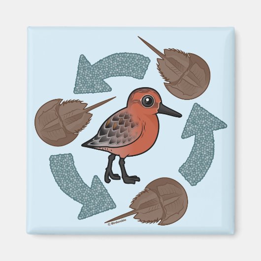 Krabbenknochen Magnet (Vorne)