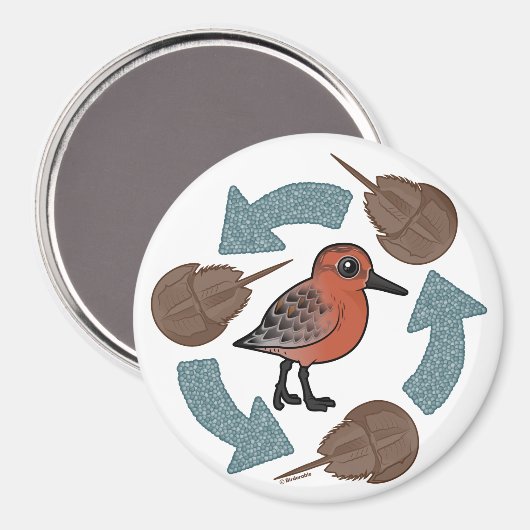 Krabbenknochen Magnet (Vorderseite/Rückseite)