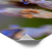 Krabbenspinne frisst Bienenvölkerurlaub Poster (Ecke)