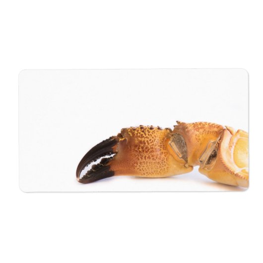 Krabbenverkleidung (Vorne)