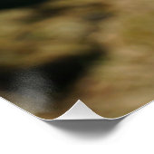 Kracht patser Fubby aan Prikkeldraad. Poster (Ecke)