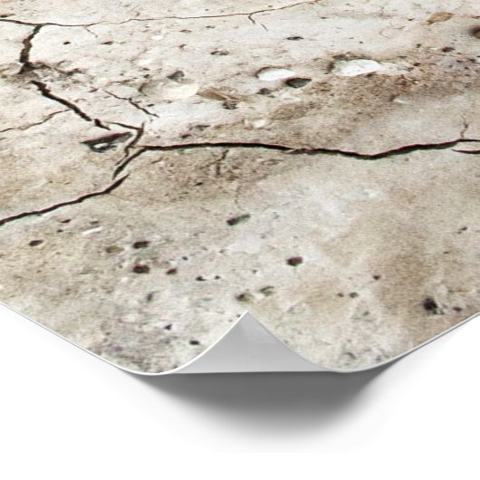 KRACKIERTE SPIRALE NAUTILUS-MUSCHEL POSTER (Ecke)