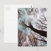 KRAFT der BÄUME Postkarte (Vorne/Hinten)