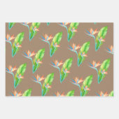 Kraft Paper Tropical Cocktails Toucans im Paradies Geschenkpapier Set (Vorderseite 3)