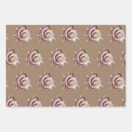 Kraft Paper Wasserfarbe Muscheln am Meeresufer Geschenkpapier Set