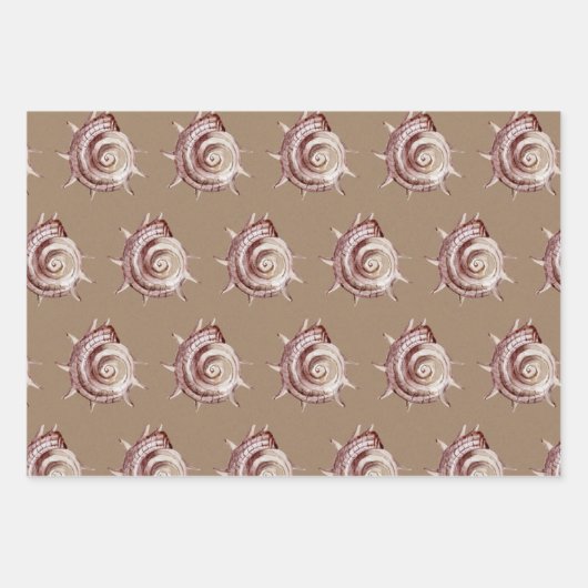Kraft Paper Wasserfarbe Muscheln am Meeresufer Geschenkpapier Set (Vorderseite)