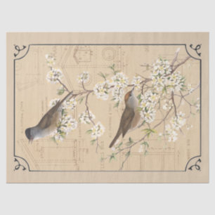 Kraft Warbler Bird Birdhouse Border Decoupage Tan Seidenpapier