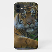 kräftig Case-Mate iPhone hülle (Rückseite)