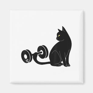 Krafttraining Katzen Workout Gym Fitness Übung Gew Magnet