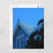 Krähe auf Dach im Winter Postkarte (Vorne/Hinten)