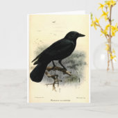 Krähe Karte (Gelbe Blume)