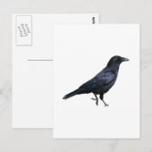Krähe Krähe Postkarte (Vorne/Hinten)