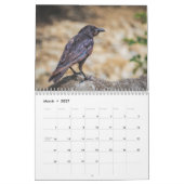 Krähe Rabe 2026 Kalender (Mär 2027)