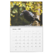 Krähe Rabe 2026 Kalender (Jan 2027)