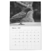 Krähe Rabe 2026 Kalender (Feb 2027)