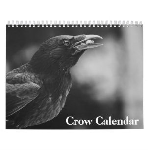 Krähe Rabe 2027 Kalender