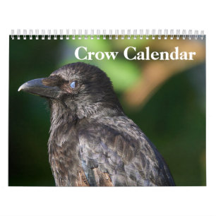 Krähe Rabe 2027 Kalender