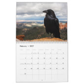 Krähe Rabe 2027 Kalender (Feb 2027)