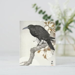 Krähe Rabe Koson japanischer Vogel Krähe