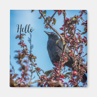 Krähe sagt Hallo Magnet