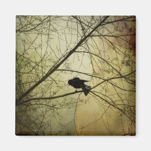 Krähe sprechen magnet (Vorne)