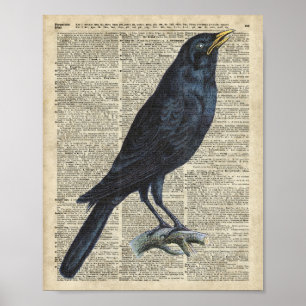 Krähe Vintage-Illustration auf alter Enzyklopädie- Poster