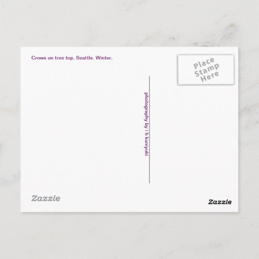 Krähen an der Baumspitze Postkarte (Rückseite)