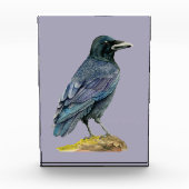 Krähen-Aquarell-Malerei Fotoblock (Vorderseite)