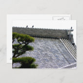 Krähen auf dem Tempeldach Postkarte (Vorne/Hinten)